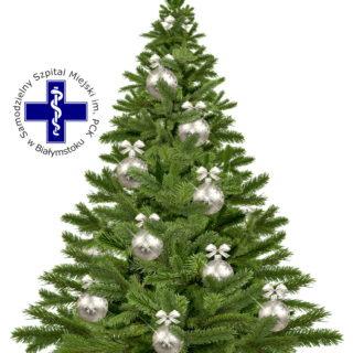 Choinka Bożonarodzeniowa