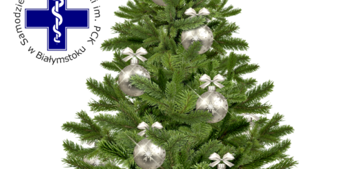 Choinka Bożonarodzeniowa